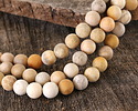 Indonesian Fossil Coral (Matte) Round 10mm