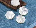 Mother of Pearl Carved Scallop Shell 10mm