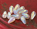Czech Glass White w/ Rainbow AB & Metallic Beige Wash Faceted Melon Teardrop 23x11mm