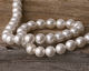 Pearly White Shell Pearl Round 8mm