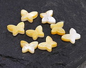 Gold Lip Shell Carved Butterfly Focal Bead 8x10mm
