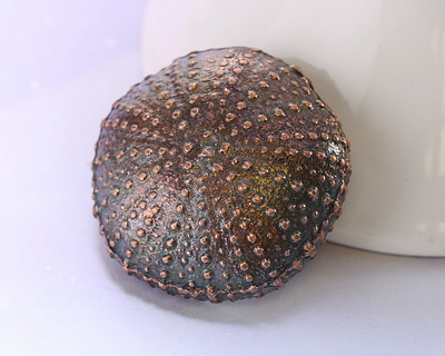 Mykonos Antique Copper (plated) Sea Urchin Focal 36mm