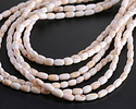Conch Shell Irregular Rounded Tube 6-7x4mm