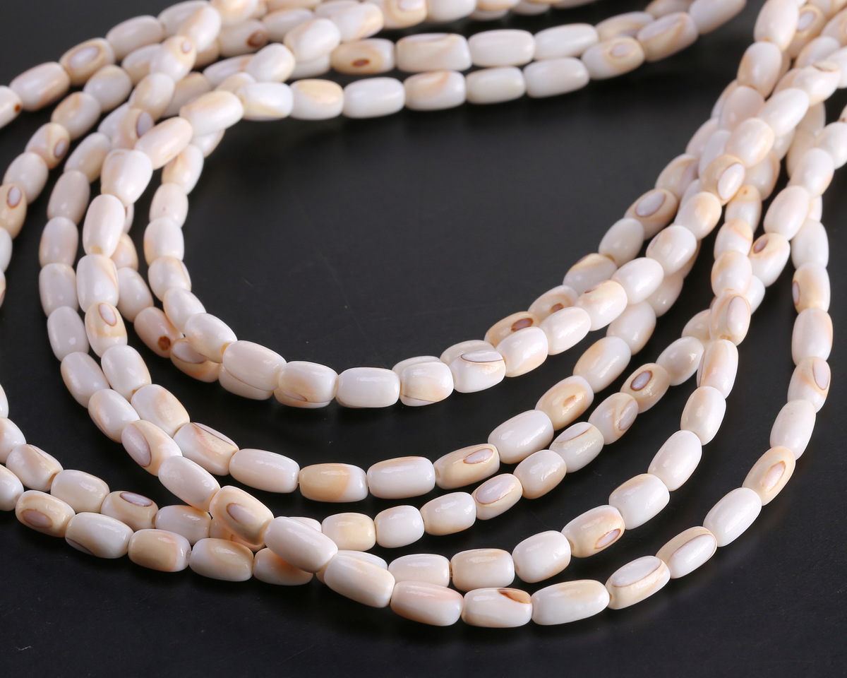 Conch Shell Irregular Rounded Tube 6-7x4mm