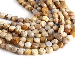 Fossil Jasper Faceted Puff Coin 6mm