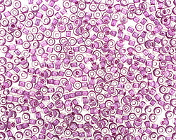 TOHO Crystal (with Wisteria Lining) Round 11/0 Seed Bead