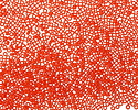 TOHO Opaque Sunset Orange Round 15/0 Seed Bead