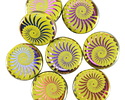 Czech Glass Laser Etched Spiral Ammonite on Gaspeite Green w/ Rainbow Finish Coin 14mm