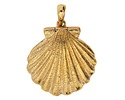 Nina Designs Bronze Scallop Shell Locket 25x34mm