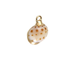 Dotted Rice Field Snail Shell Pendant w/ Gold Finish 15-20x9-12mm