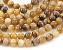 Golden Wooden Jasper Round 8mm
