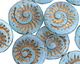 Czech Glass Bronzed Matte Blue Opal Ammonite Coin 19mm