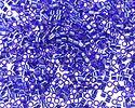 Miyuki Delica Silver Lined Cobalt (DBM0047) 10/0 Seed Bead