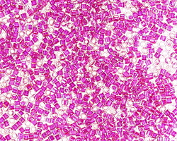 Miyuki Delica Inside Dyed Magenta (DB2389) 11/0 Seed Bead