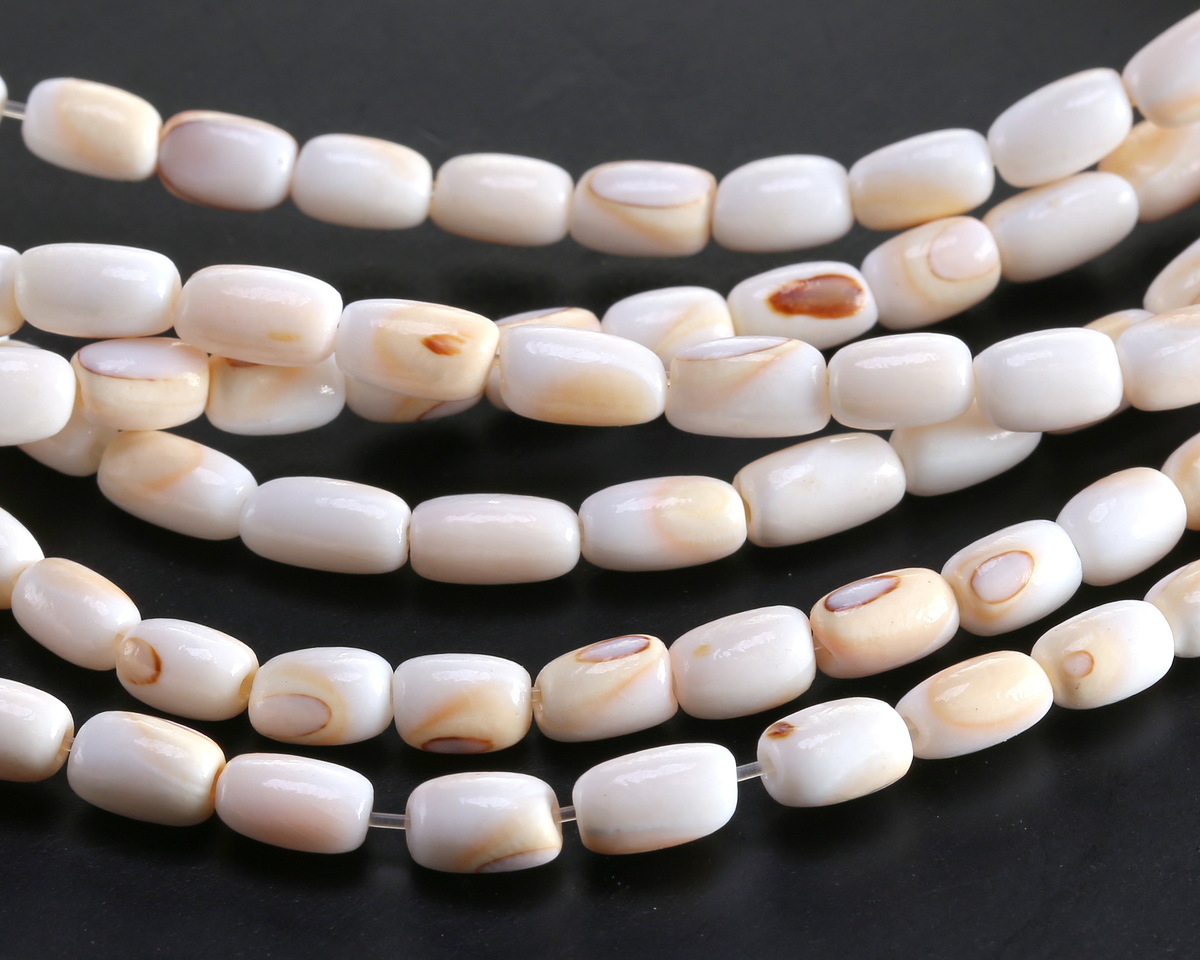 Conch Shell Irregular Rounded Tube 6-7x4mm