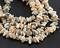 Green & Tan Turbo Shell Chip 2-8x6-14mm