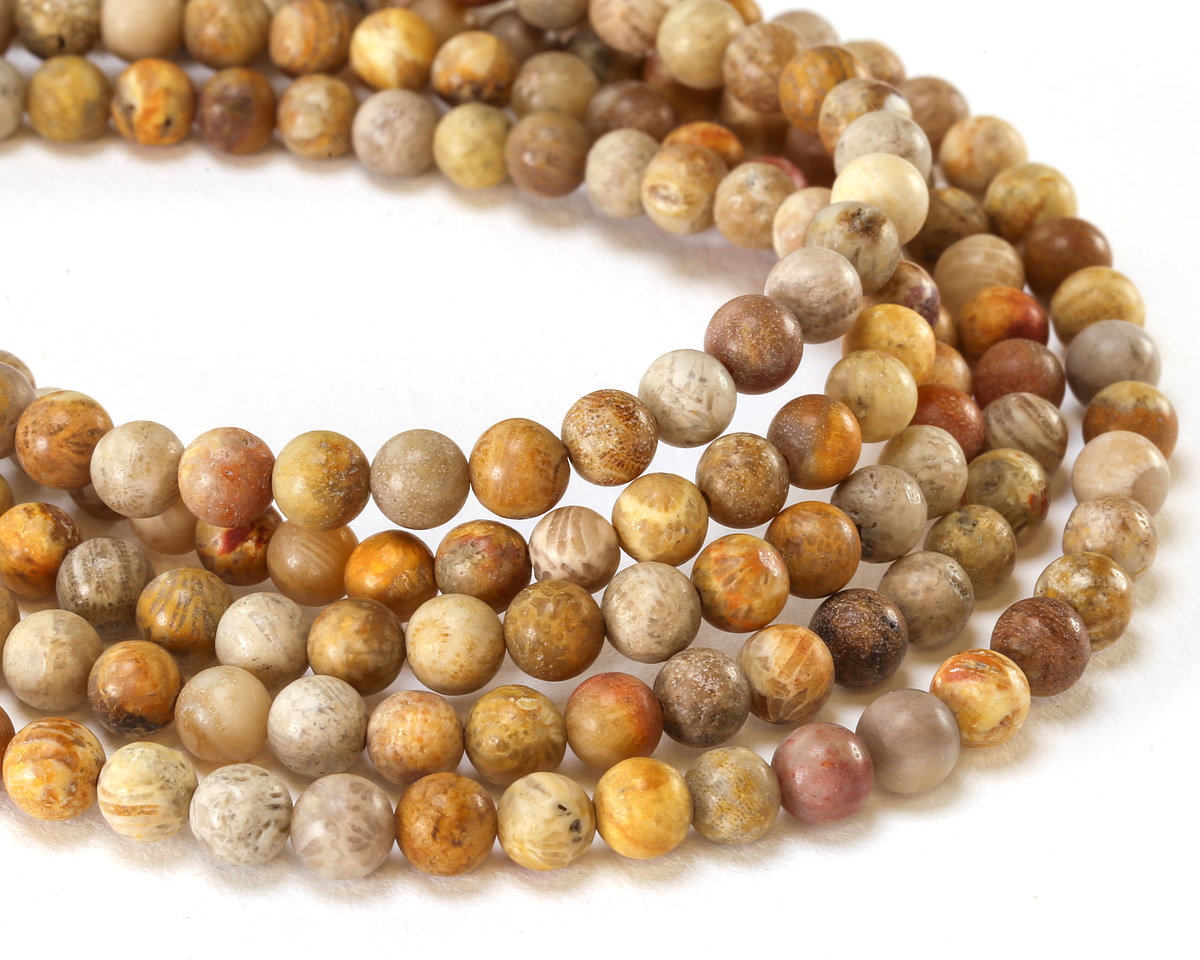 Indonesian Fossil Coral (Matte) Round 6mm