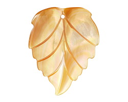 Golden Lip Shell Carved Leaf Focal 28x35mm