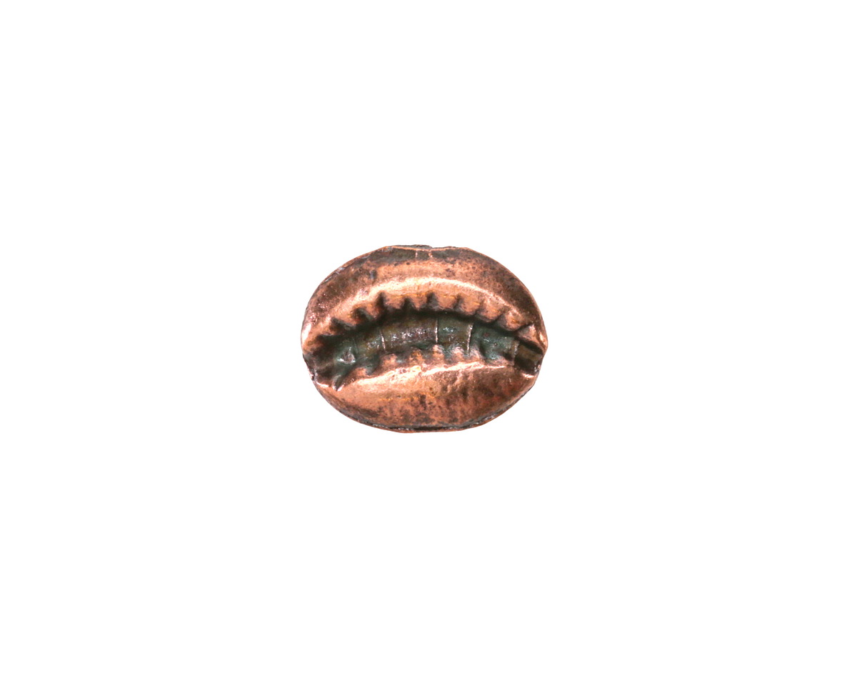 Mykonos Antique Copper (plated) Cowrie Shell Focal Bead 12x7mm