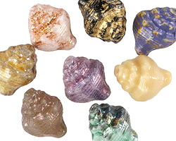 Czech Glass Seaside Mix Murex Shell 15x12mm