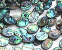 Abalone Flat Oval 18x13mm