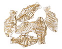 Czech Glass Crystal w/ Gold Wash Trout Fish Bead 24x10mm