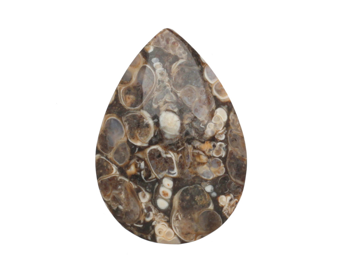 Turritella Agate Freeform Pendant 22-26x30-36mm