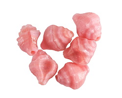 Czech Glass Matte Pink Silk Murex Shell 15x12mm