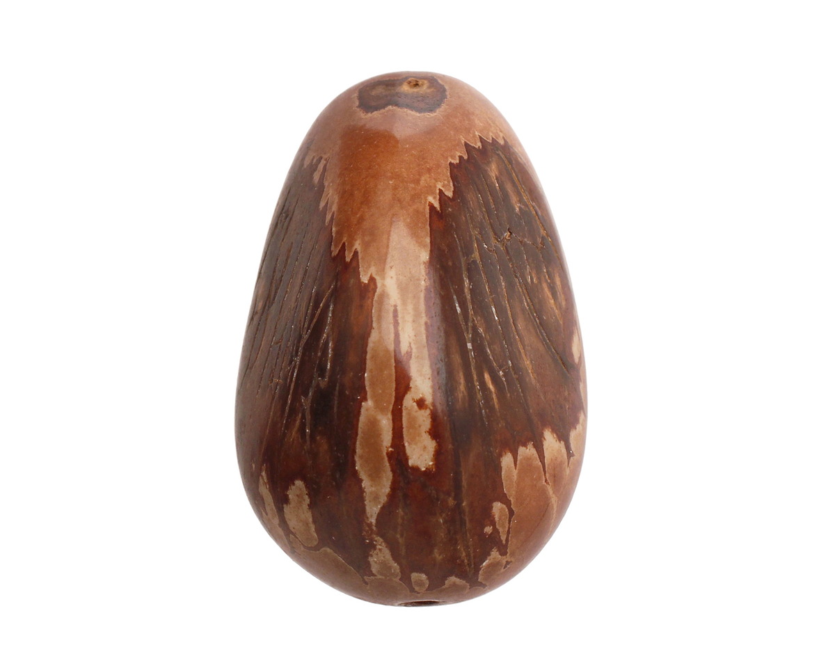 Tagua Nut Caramel Nugget 40-45x32-36mm