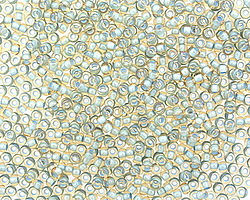 TOHO Rainbow Light Topaz (with Sea Foam Lining) Round 11/0 Seed Bead