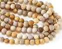 Indonesian Fossil Coral (Matte) Round 8mm