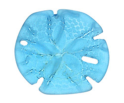 Pacific Blue Beach-Style Glass Sand Dollar 39mm