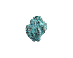 Mykonos Copper (plated) Patina Murex Shell Focal Bead 16x19mm