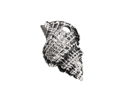 Mykonos Antique Silver (plated) Drill Shell 18.5x30mm