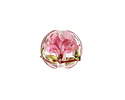 Grace Lampwork Blushing Magnolia Lentil 15x13mm