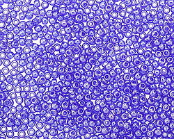 TOHO Transparent Lustered Cobalt Round 11/0 Seed Bead