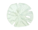 Seafoam Beach-Style Glass Sand Dollar 39mm