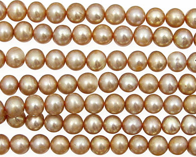 Champagne Potato 4.5-5mm