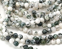 Tree Agate Round 6mm