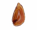 Canyon Agate Freeform Slice w/ Natural Edge Focal 31-51x55-100mm