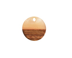 Walnut Wood & Blossom Pearlescent Resin Coin Focal 15mm
