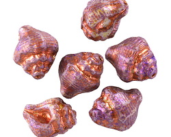 Czech Glass Bisque w/ Fuchsia & Copper Wash Murex Shell 15x12mm