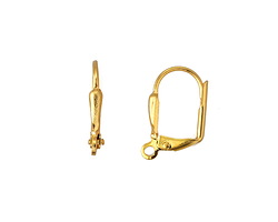 Gold (plated) Stainless Steel Leverback Petal Earring w/ Open Loop 11x14mm