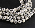 Dalmatian Jasper Round 8mm