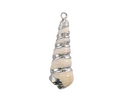 White Turritella Shell Pendant w/ Silver Finish 8-10x23-45mm