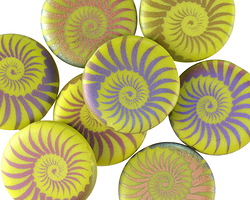 Czech Glass Laser Etched Ammonite on Matte Wasabi w/ Rainbow Finish Coin 17mm
