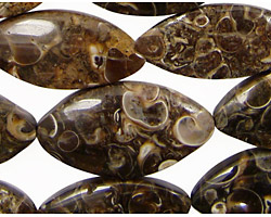 Turritella Agate Horse Eye 21-32x11-16mm