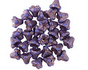 Czech Glass Bronzed Indigo 5 Point Bellflower 5x6mm