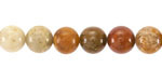 Indonesian Fossil Coral Round 8mm