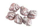 Czech Glass Pink Opal w/ Silver Wash Murex Shell 15x12mm